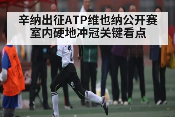 辛纳出征ATP维也纳公开赛 室内硬地冲冠关键看点