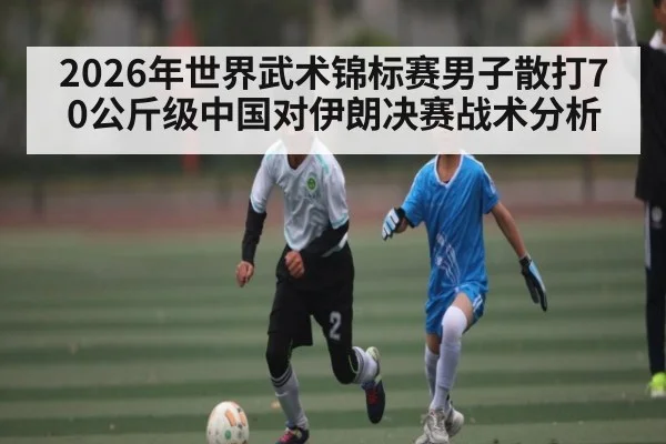 2026年世界武术锦标赛男子散打70公斤级中国对伊朗决赛战术分析
