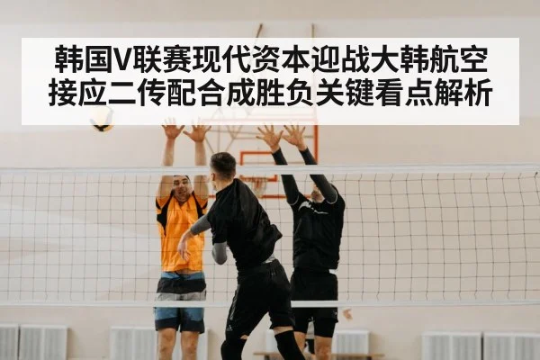 volleyball spike block indoor